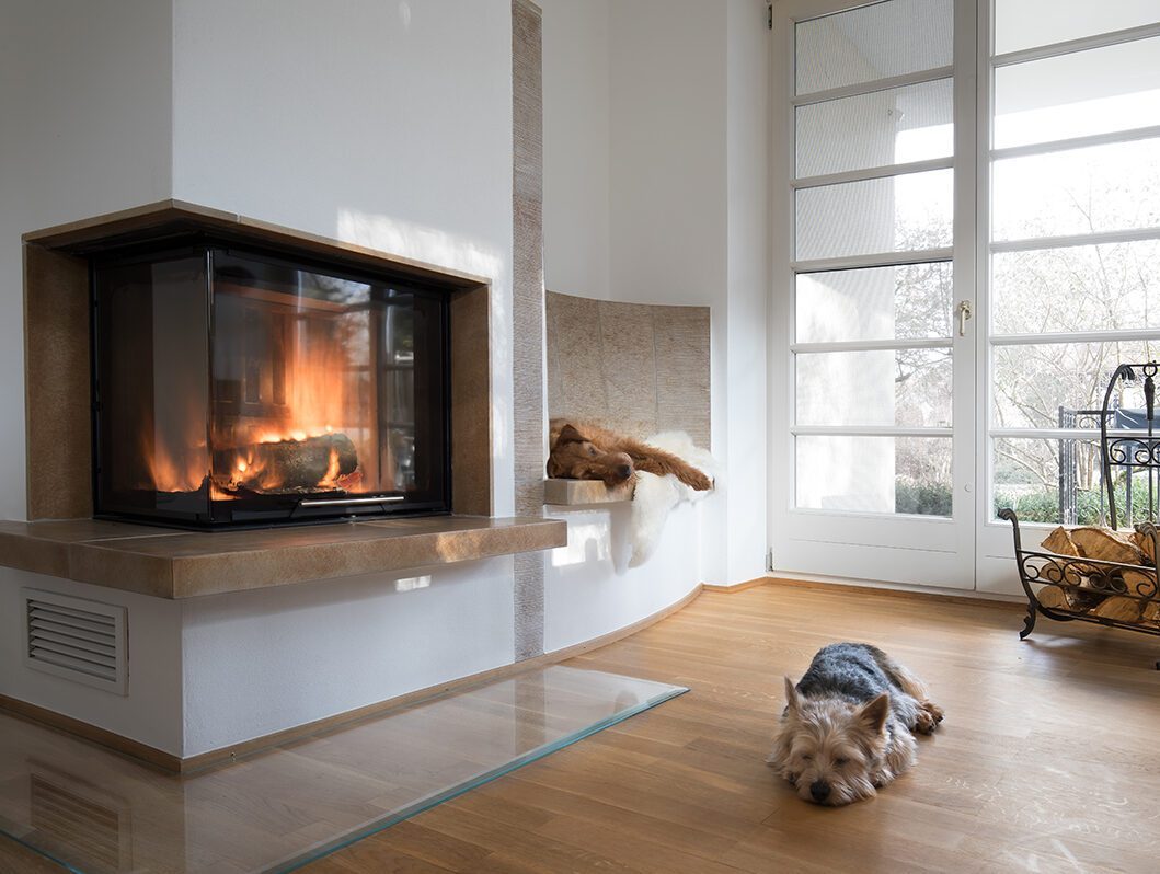Dogs sleeping in living room with wood burning fireplace