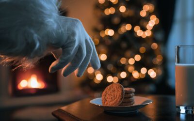 Fireplace Experts: Make Way for Santa Claus!